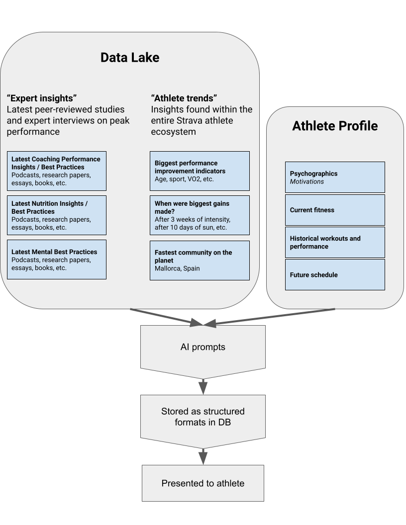 strava ai data model